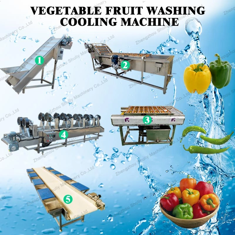 Hot Sale Washing Cleaning Drying Machine Line for Fruit and Vegetable