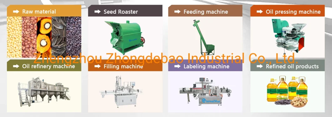 Full Automatic Small Moringa Nut Seed Oil Press Oil Expeller Equipment Rapeseed Cold Oil Processing Plant Oil Processing Line for Sale