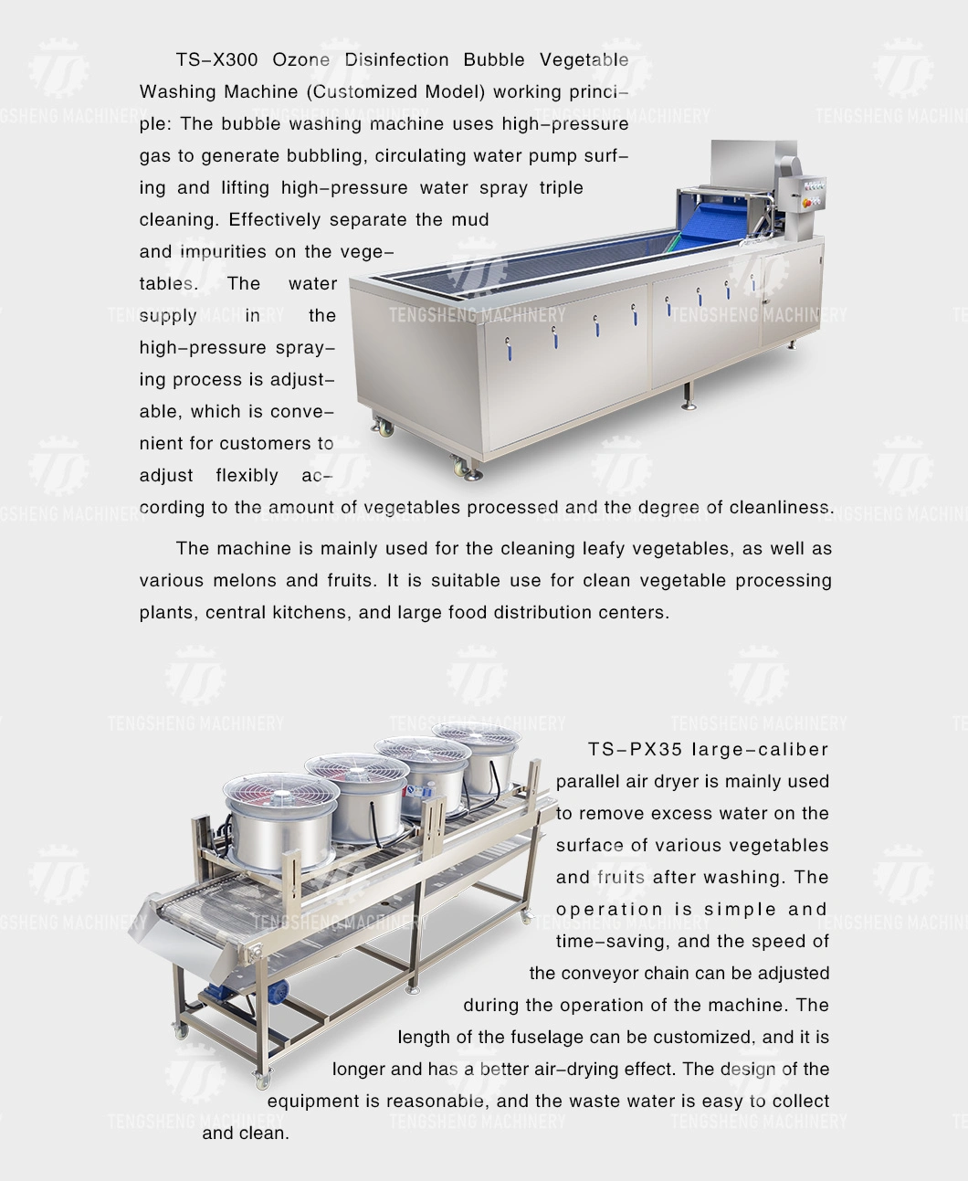 Industrial Vegetable and Fruit Potato Selection of Hair Roller Bubble Cleaning Drying Cutting Machine Production Line