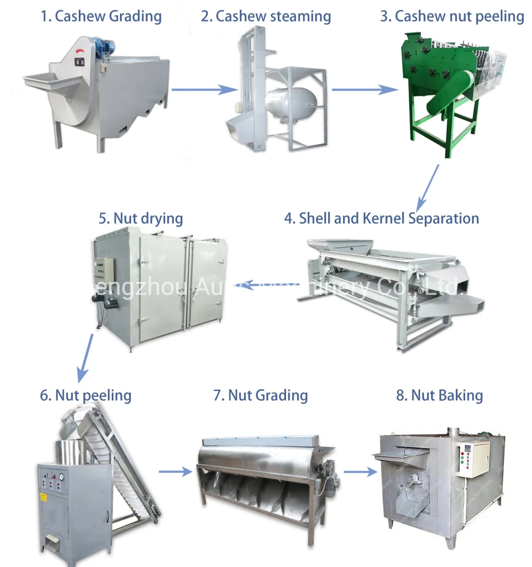 Multi Sizes Customized Raw Cashew Treatment Dehydrator Auto Cashew Shell Line Nut Roast Separator Frying Machinery
