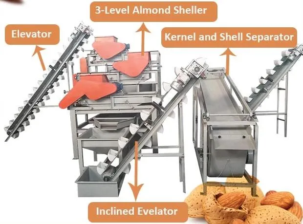 Industrial Cashew Ginkgo Cedar Nuts Shelling Machine