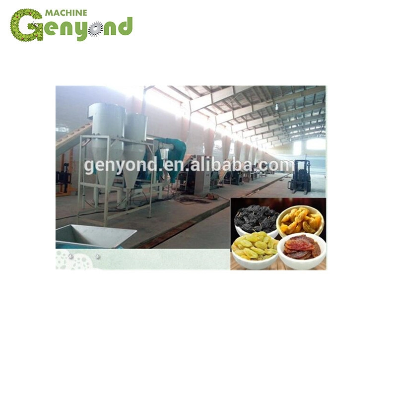 Automatic Raisin Cleaning Drying Line