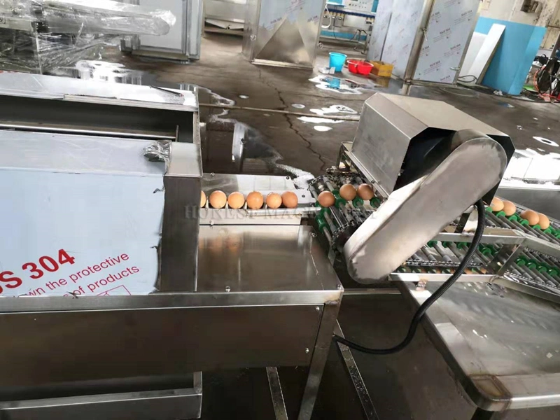 Hot Export Egg Washing Drying Line / Egg Cleaning Production Line