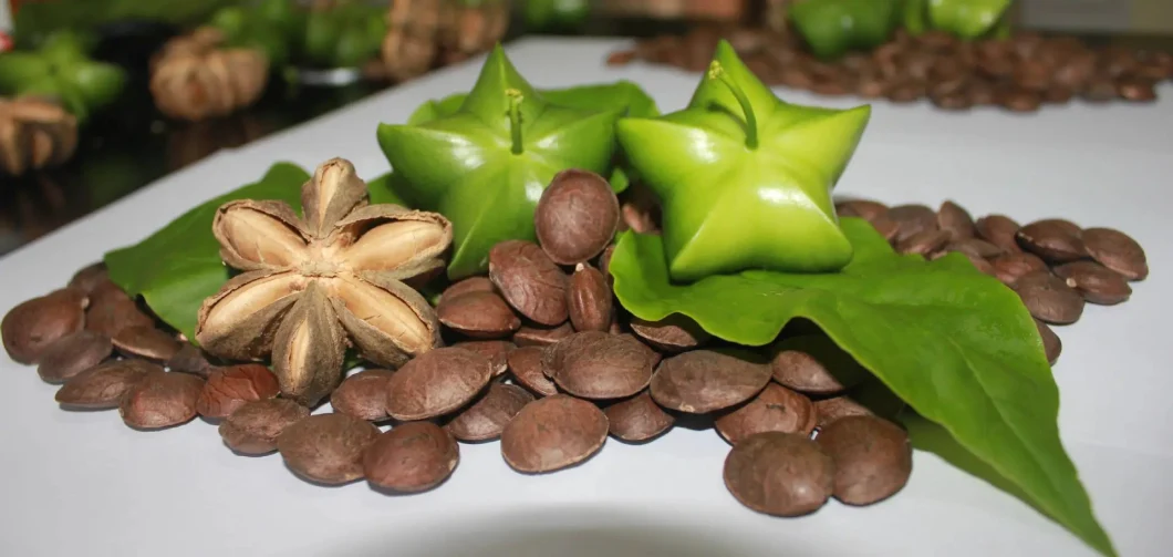 Industrial Use Sacha Inchi Nuts Shelling Peeling Seeds Pumpkin Seeds Dehuller Sunflower Seeds Sheller Machine