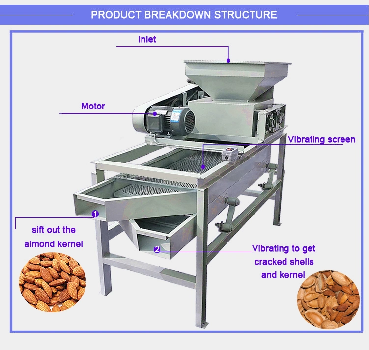 Industrial Cashew Ginkgo Cedar Nuts Shelling Machine