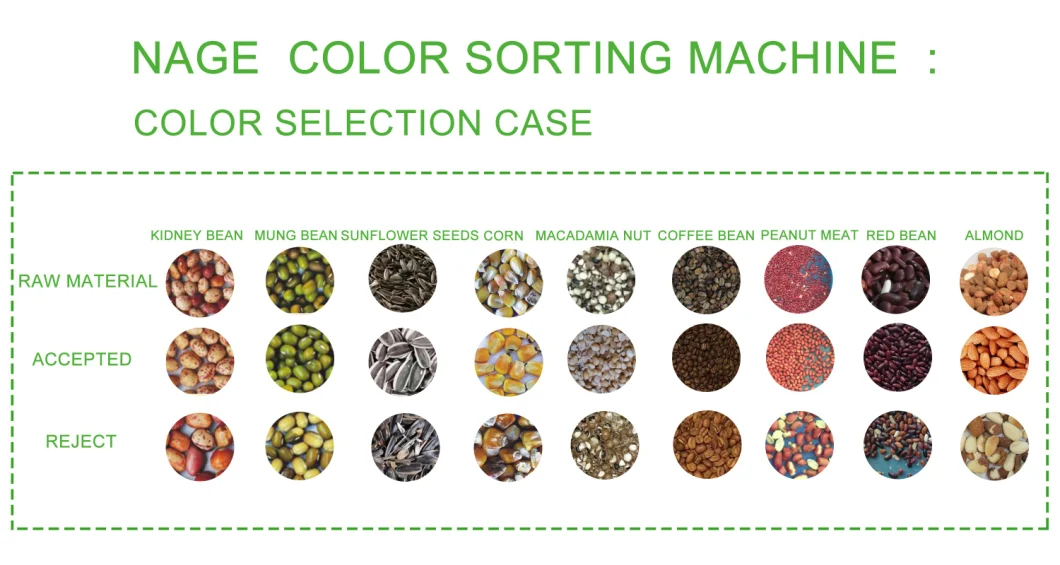 Color and Size Sorting Machine Cashew Nut Processing Machine Line