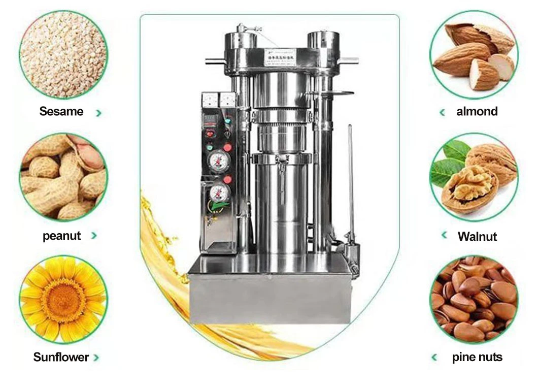 Small Business Walnut Oil Extraction Hydraulic Sesame Cold Press Machine