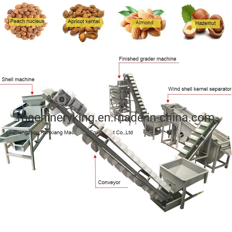 Automatic Nut Grading Crushing Hazelnut Breaking Cracking Shelling Processing Line