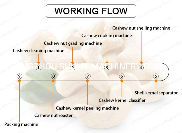 Automatic Cashew Nut Processing Machine Cashew Nut Production Line
