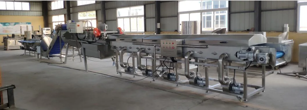 Automatic Frozen Multi Fruit and Vegetable Salad Washing Cutting Slicer Drying Processing Making Machine Air Cleaning Sorting Production Line