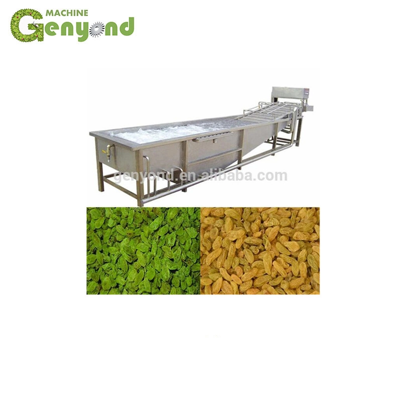 Automatic Raisin Cleaning Drying Line