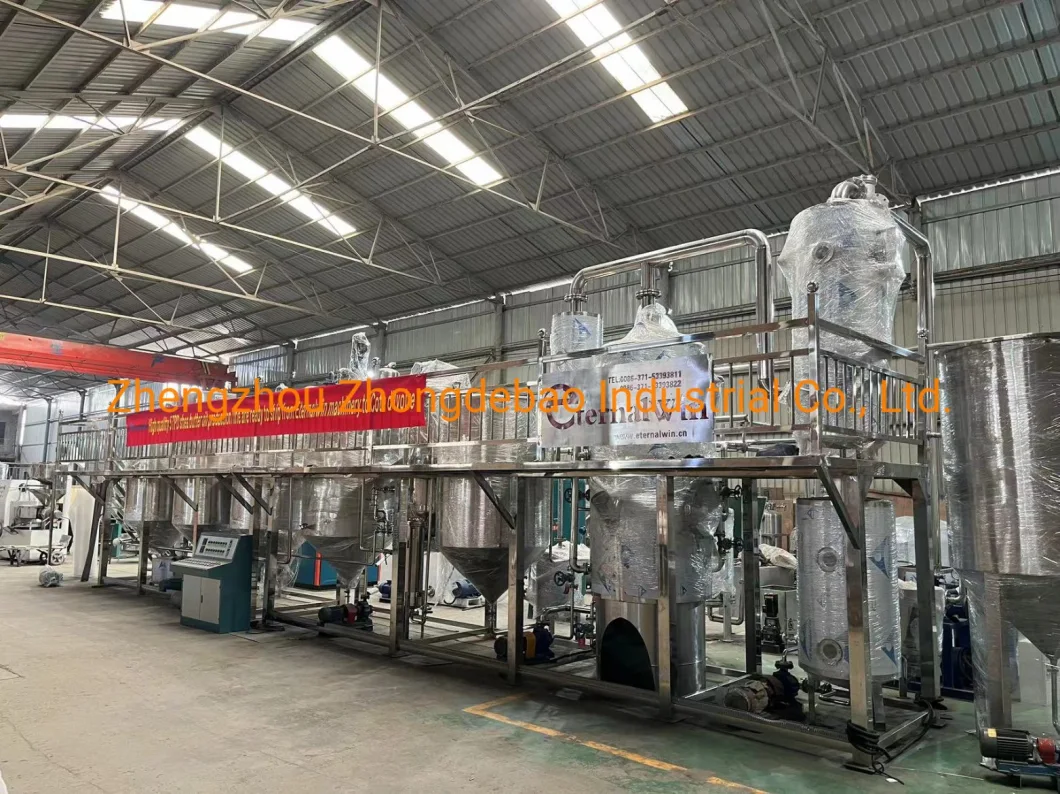 Full Automatic Small Moringa Nut Seed Oil Press Oil Expeller Equipment Rapeseed Cold Oil Processing Plant Oil Processing Line for Sale