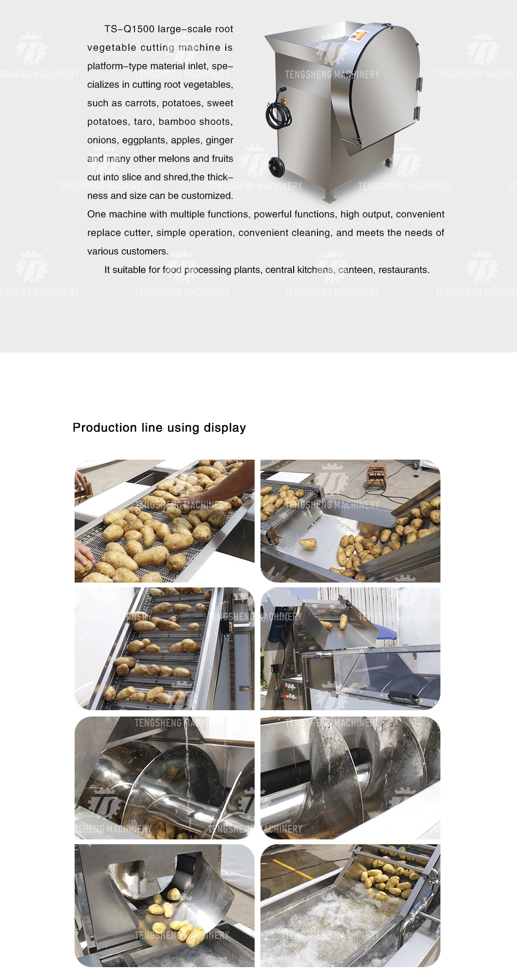 Industrial Vegetable and Fruit Potato Selection of Hair Roller Bubble Cleaning Drying Cutting Machine Production Line