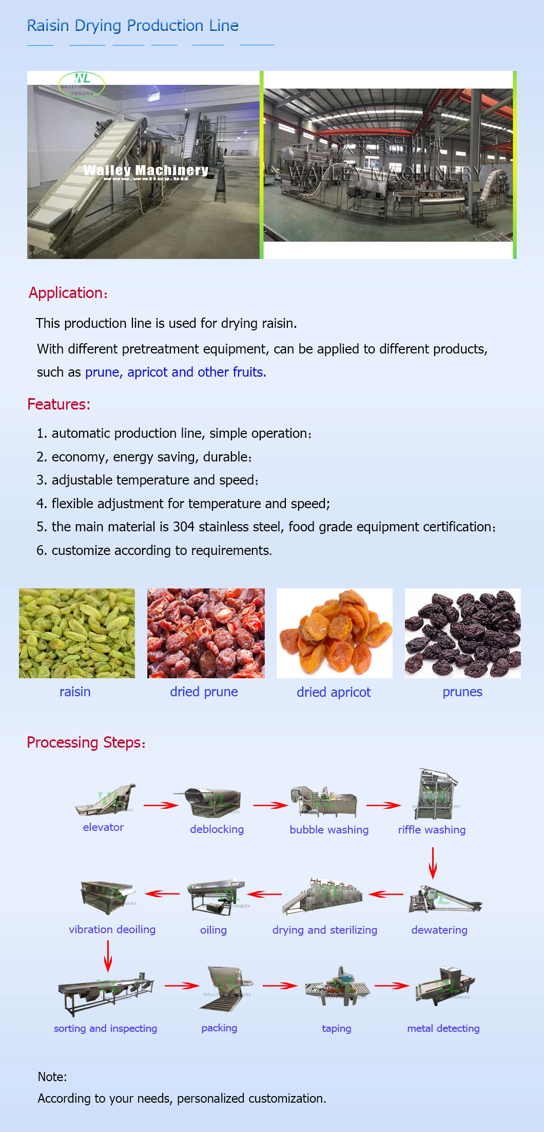 Factory Price Industrial Raisin Processing Line Cleaning Drying