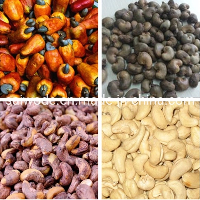 Best Selling Raw Cashew Nut Peeling Processing Line
