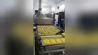 Stainless Steel Mini Italian Pastry Noodle Packing Machine