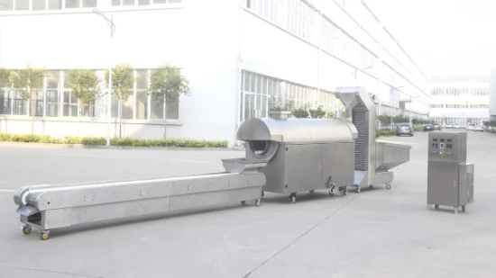 Continuous Drum Nut Roasting Machine Electric Roaster Processing Line for Chestnuts Sunflower Seeds Chickpeas