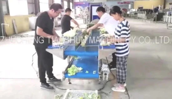 Automatic Frozen Multi Fruit and Vegetable Salad Washing Cutting Slicer Drying Processing Making Machine Air Cleaning Sorting Production Line