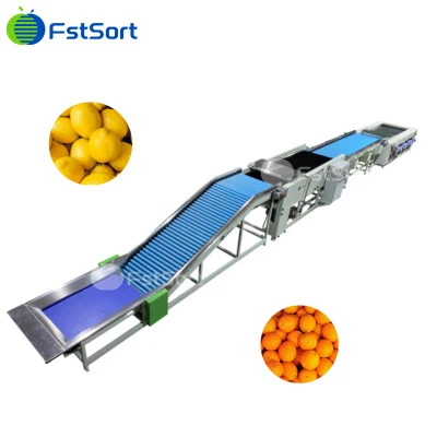 Industrial Large-Scale Fruit and Vegetable Mandarin Orange Tangerine Tomato Citrus Cleaning and Air-Drying Sorting Grading Machine Production Line