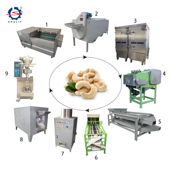Automatic Cashew Nut Processing Machine Cashew Nut Production Line