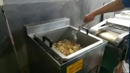 Small Capacity Frying Machine/Nuts Frying Machine