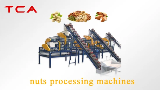 200 Kg/H-400kg/H Walnut Cashew Pistachio Macadamia Nuts Nuts Processing Machines