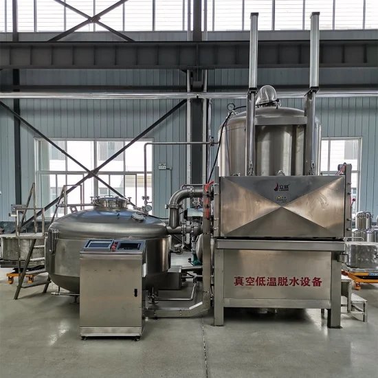 Nuts Beans Vegetables Fruit Automatic Oil Fryer Continuous Frying Machine